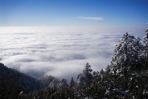 西岭雪山一日游攻略游戏(西岭雪山组团一日游) 20240621更新