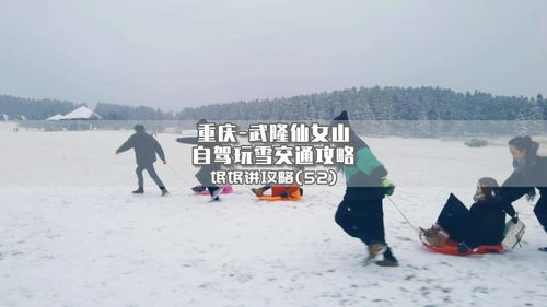 重庆仙女山攻略游戏 - 重庆仙女山好不好耍，重庆仙女山游玩攻略，探秘仙女山的魅力与乐趣