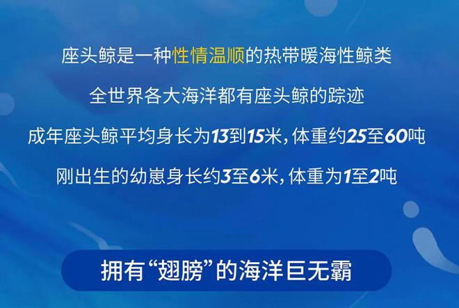 家庭寻宝探险游戏攻略,家里寻宝游戏设计