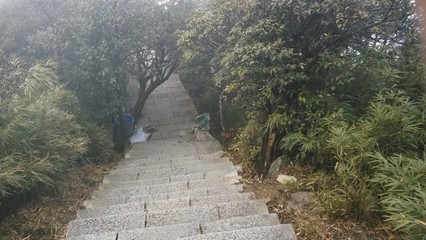 蟒山公园游戏攻略,蟒山公园几点关门