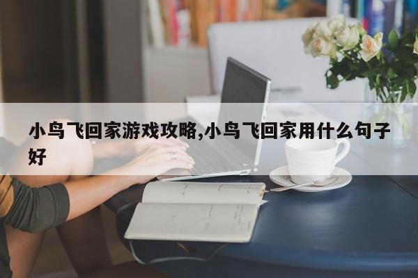 小鸟飞回家游戏攻略,小鸟飞回家用什么句子好