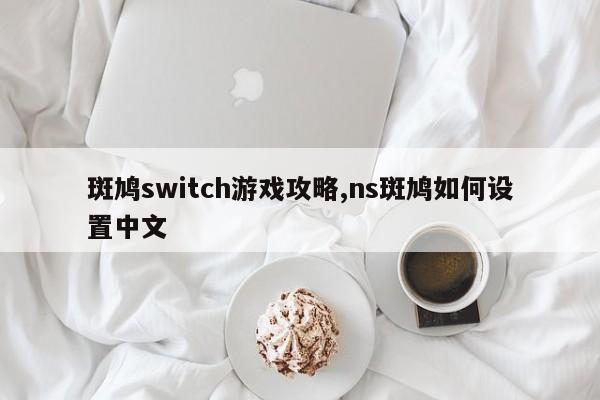 斑鸠switch游戏攻略,ns斑鸠如何设置中文